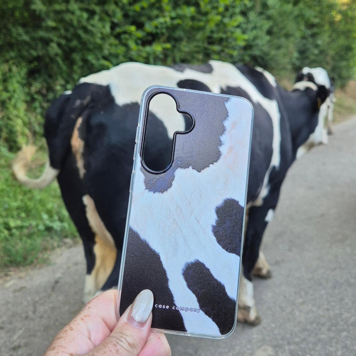 @limburgsboerderijgeluk