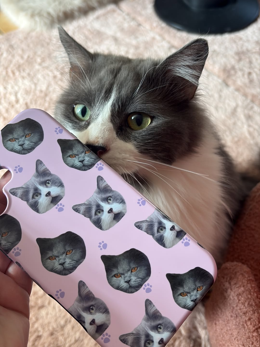 @catmom.schachtemma