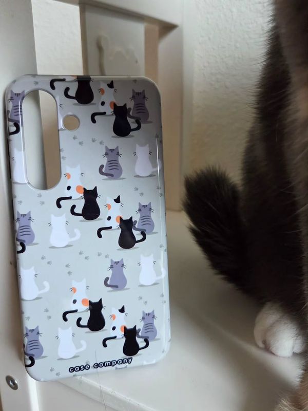 Cats, @mama_vanmick