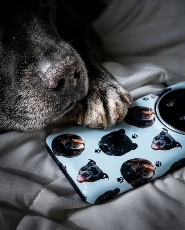 Personalized Face - Cat or Dog, @medusa_word